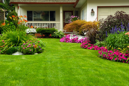 Transform Your Yard with Professional Lawn Care Services